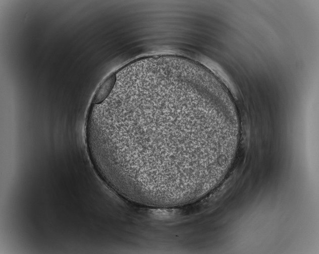 X0000094210805200711161827