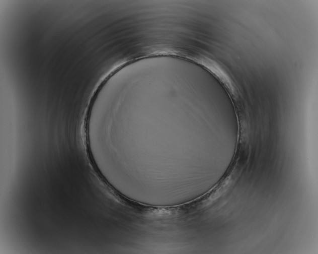 X0000094210806200711161827