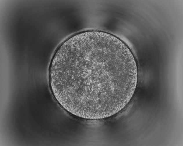 X0000094210807200711161827