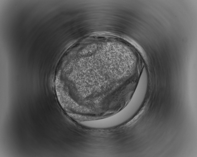 X0000094210809200711161827