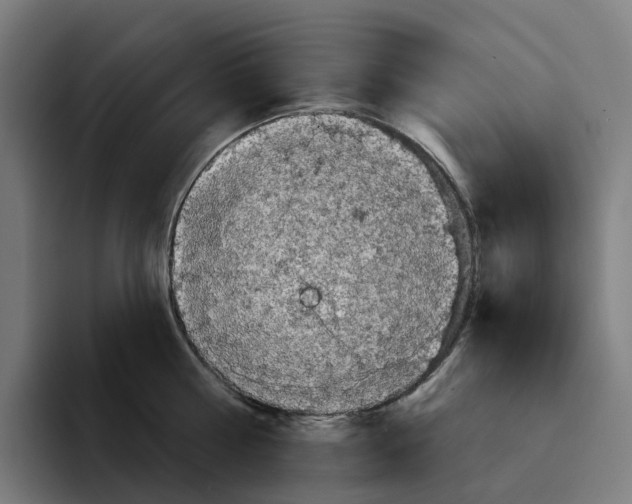 X0000094210810200711161827