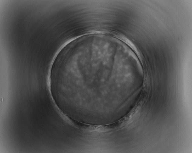 X0000094210811200711161827