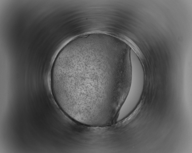 X0000094210812200711161827