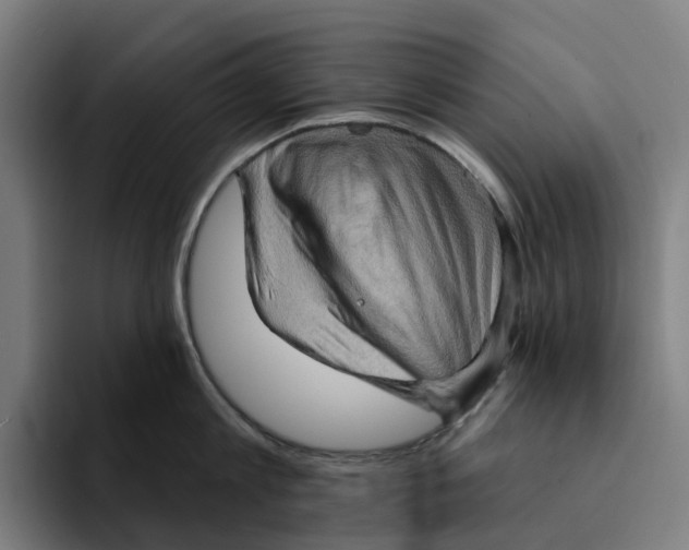 X0000094210813200711161827