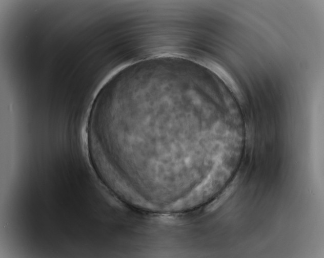 X0000094210814200711161827
