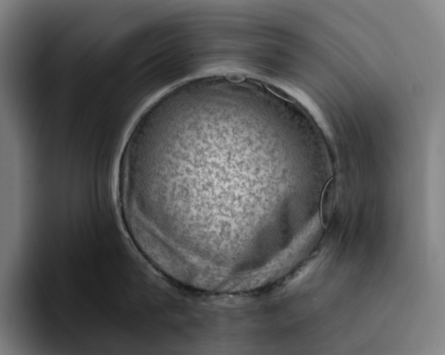 X0000094210815200711161827