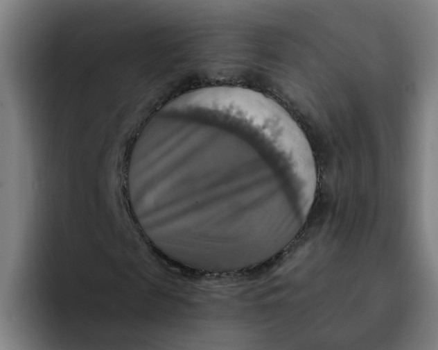 X0000094210817200711161827