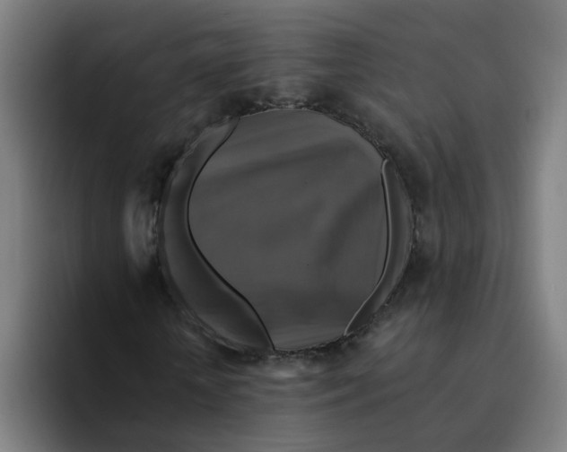 X0000094210818200711161827