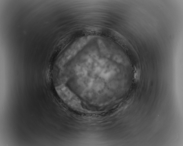 X0000094210819200711161827