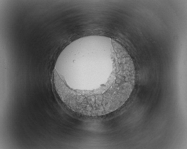 X0000094210820200711161827