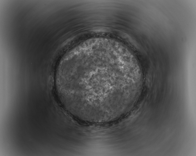 X0000094210821200711161827