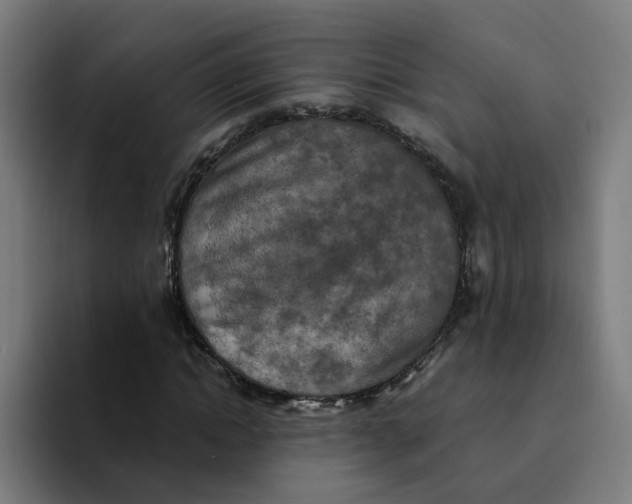 X0000094210822200711161827