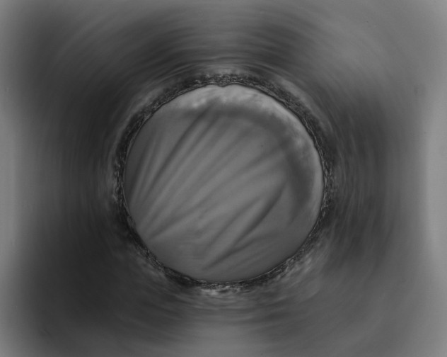 X0000094210823200711161827