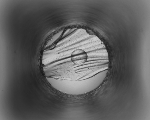X0000094210824200711161827