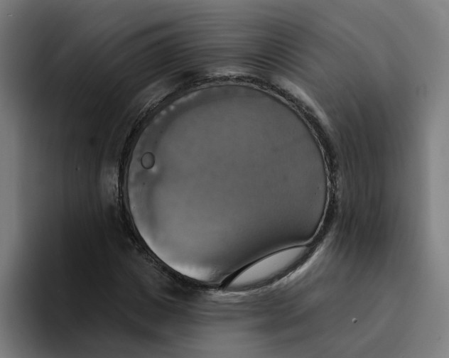 X0000094210825200711161827