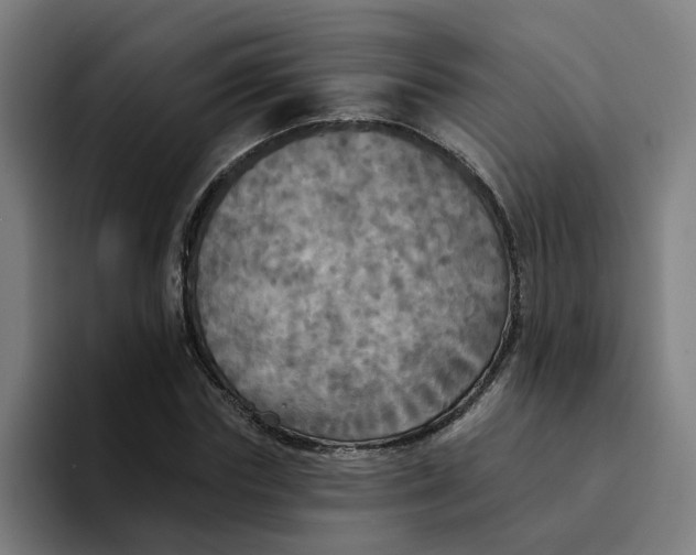 X0000094210827200711161827
