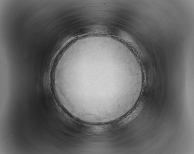 X0000094210828200711161827