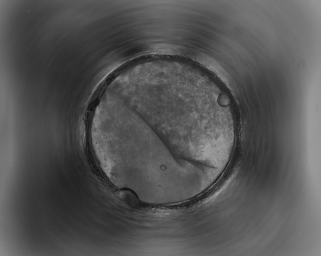X0000094210829200711161827