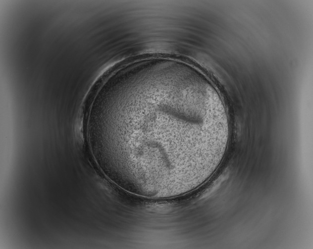X0000094210830200711161827