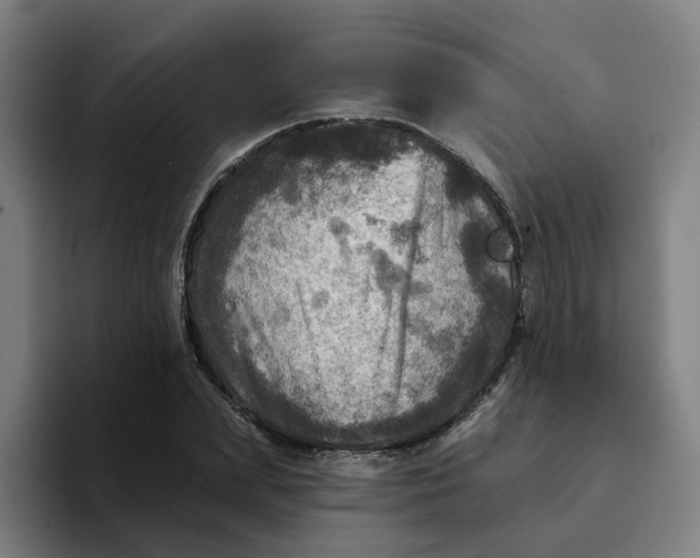 X0000094210831200711161827