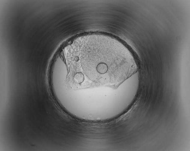 X0000094210832200711161827