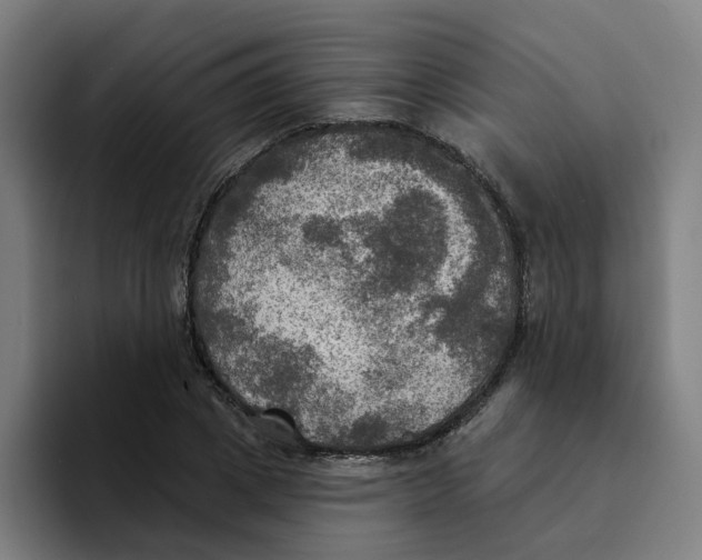 X0000094210833200711161827
