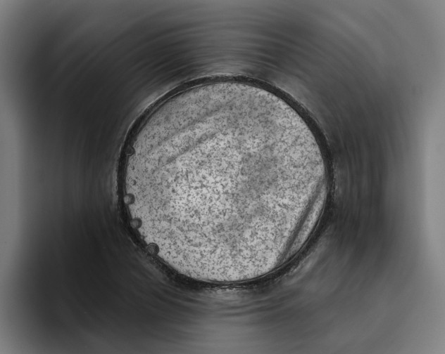 X0000094210834200711161827