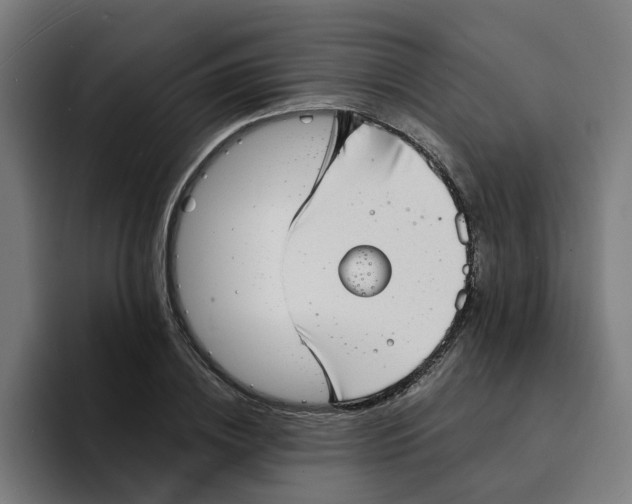 X0000094210836200711161827