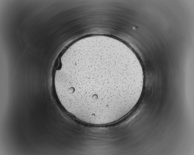 X0000094210837200711161827