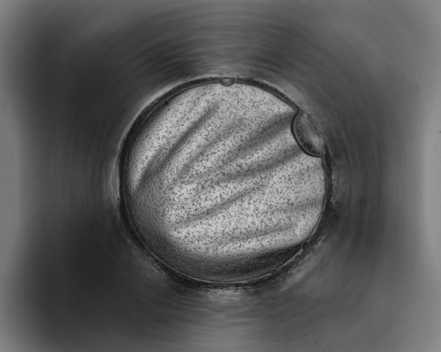 X0000094210838200711161827