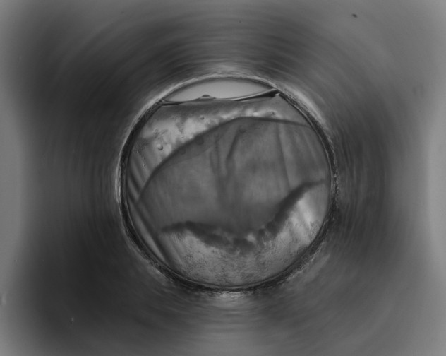 X0000094210839200711161827