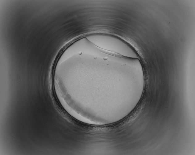 X0000094210840200711161827