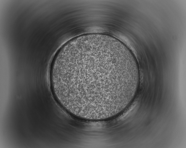 X0000094210843200711161827