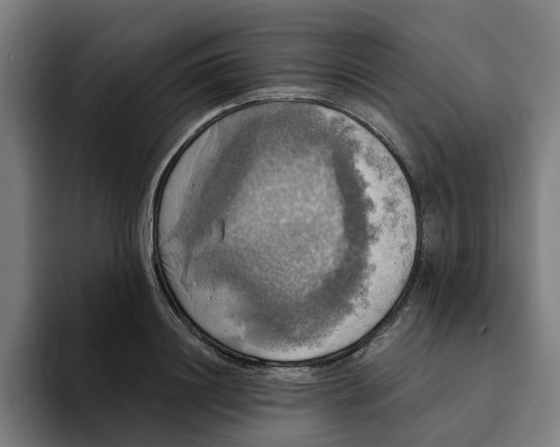 X0000094210844200711161827