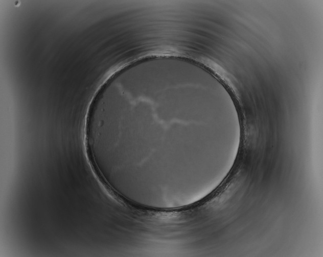 X0000094210845200711161827