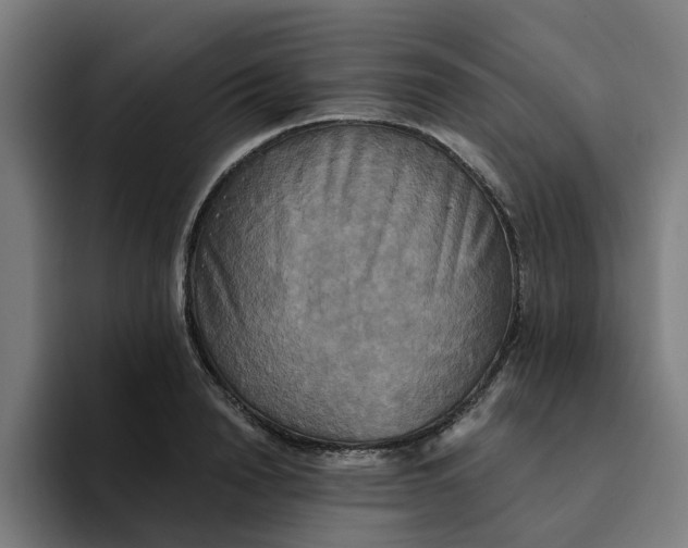 X0000094210846200711161827