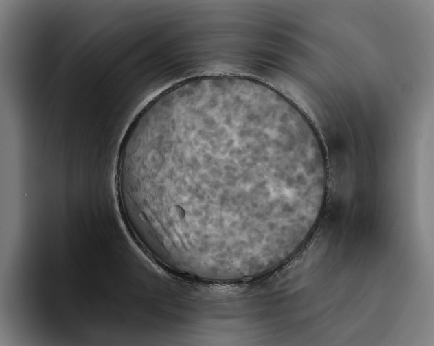 X0000094210847200711161827