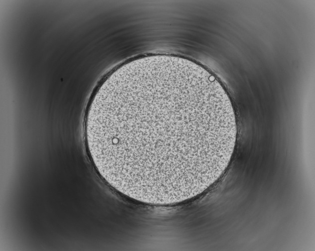 X0000094210848200711161827