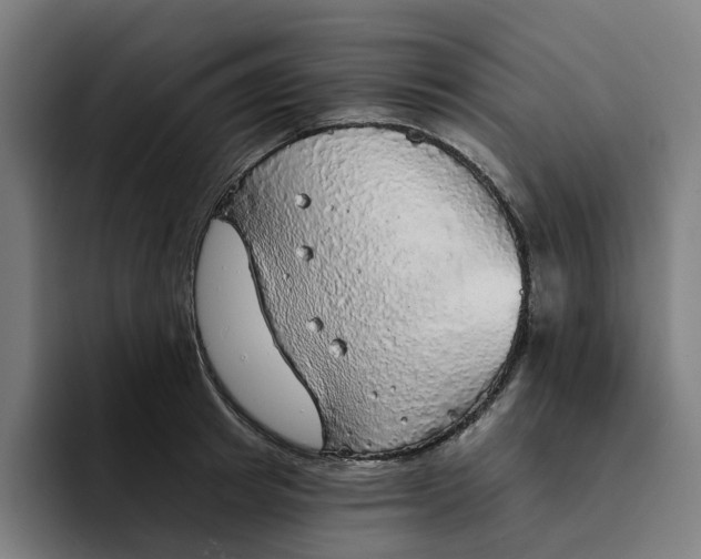 X0000094210849200711161827