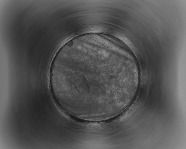 X0000094210850200711161827