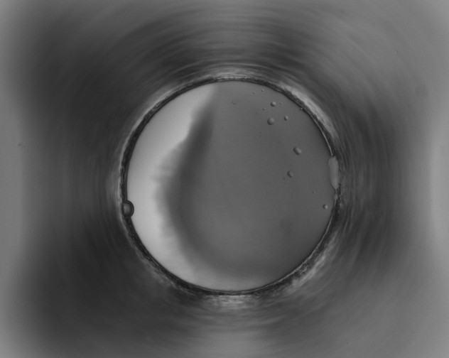 X0000094210853200711161827