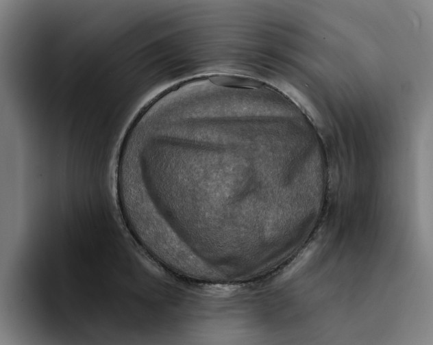 X0000094210854200711161827