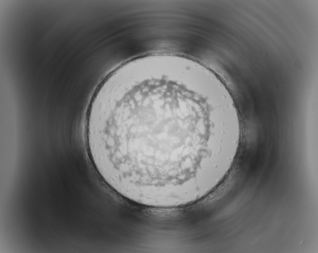 X0000094210856200711161827