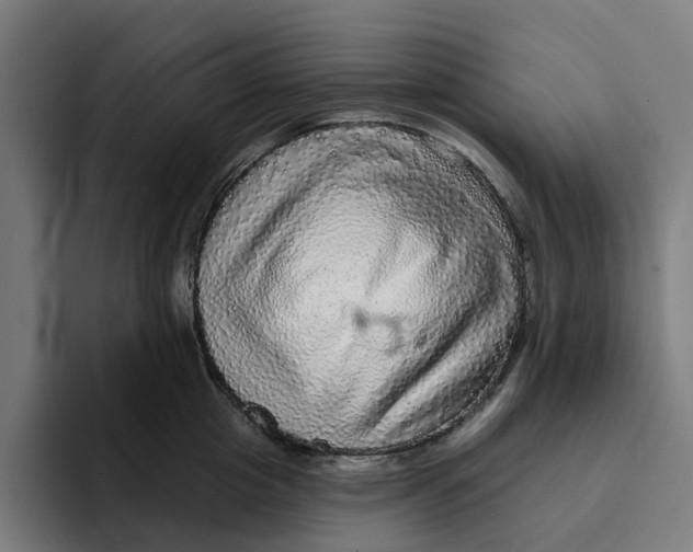X0000094210857200711161827