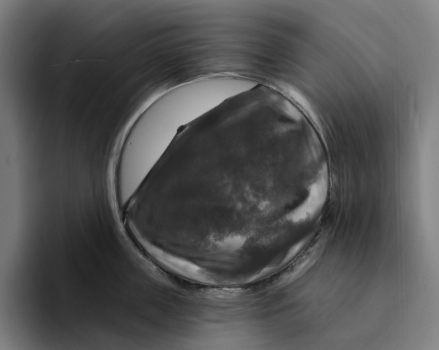 X0000094210859200711161827