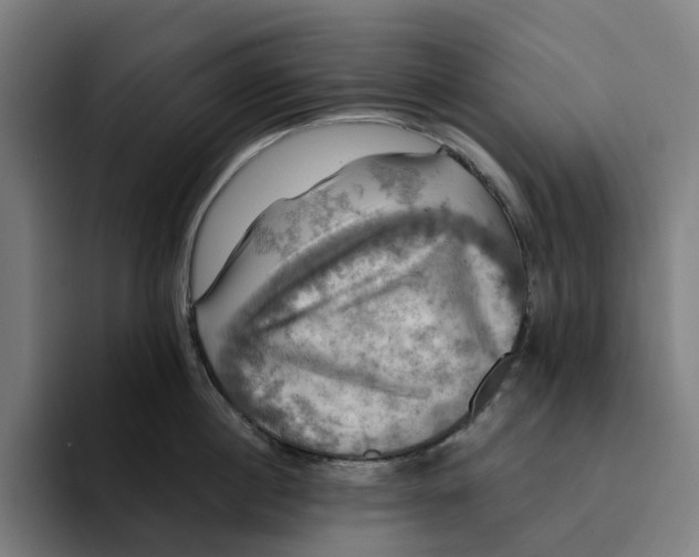 X0000094210860200711161827