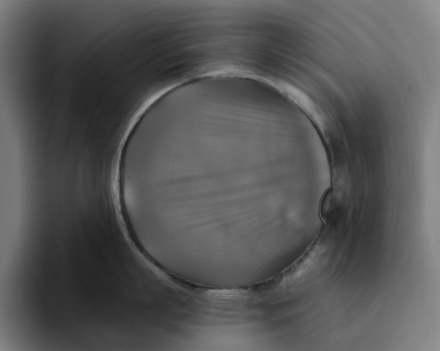 X0000094210863200711161827