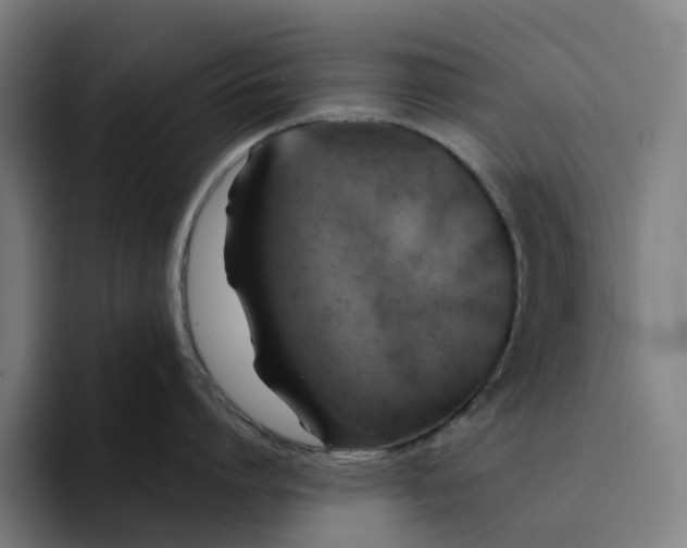 X0000094210864200711161827