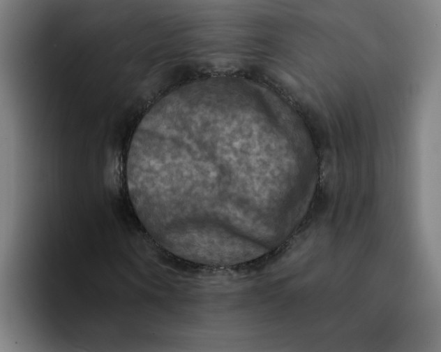 X0000094210866200711161827