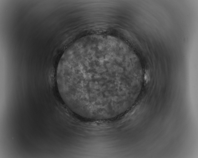 X0000094210867200711161827